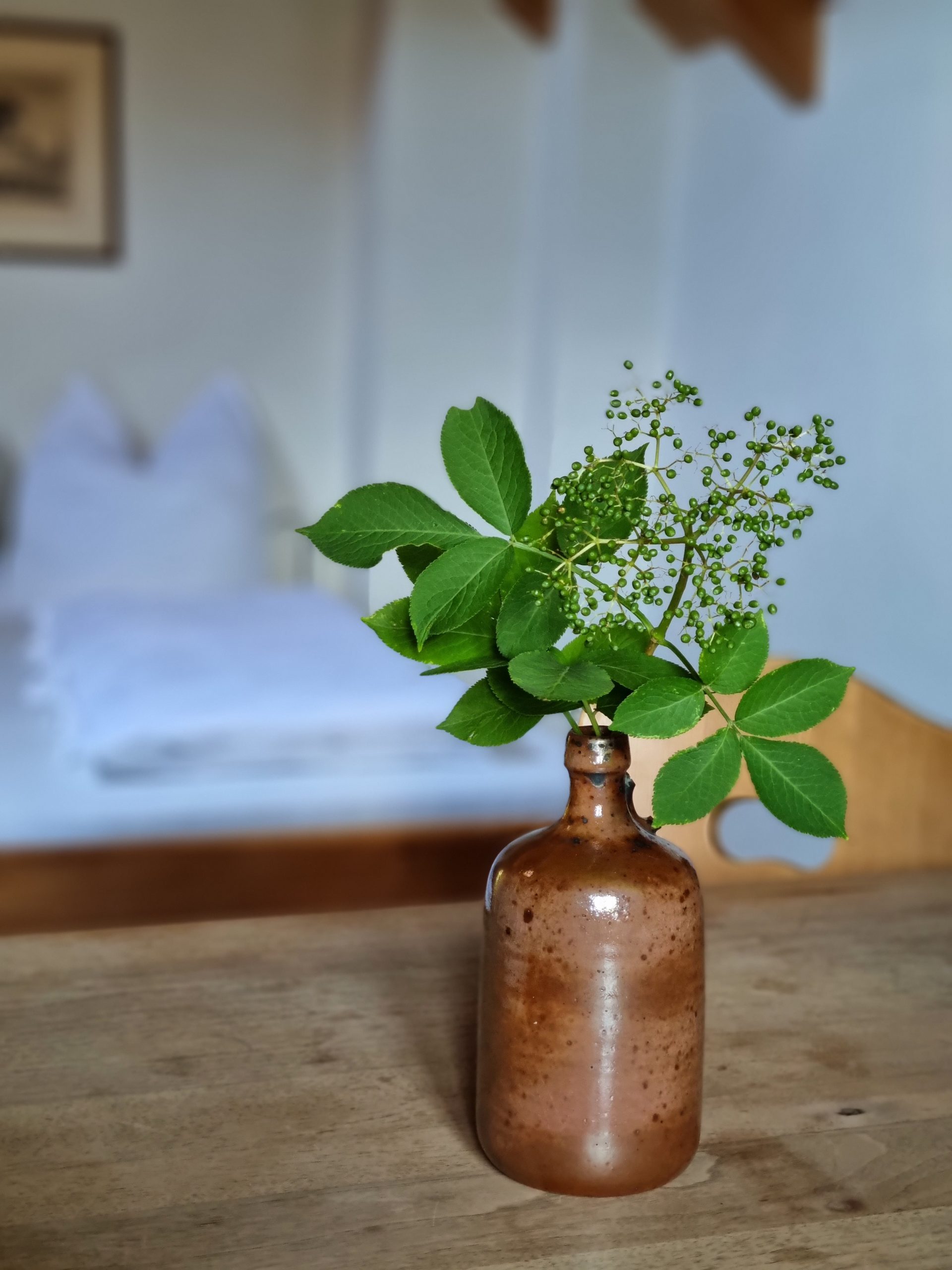 Ferienwohnung Machapuchare – Bild 1 von 7